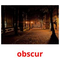 obscur picture flashcards