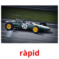 ràpid picture flashcards
