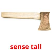 sense tall picture flashcards