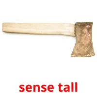 sense tall Bildkarteikarten