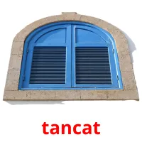 tancat Bildkarteikarten