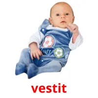 vestit Bildkarteikarten