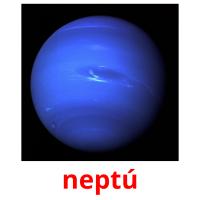 neptú picture flashcards