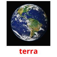 terra picture flashcards
