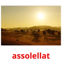 assolellat picture flashcards