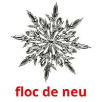 floc de neu picture flashcards