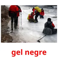 gel negre picture flashcards