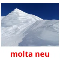 molta neu picture flashcards