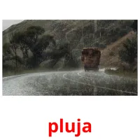 pluja picture flashcards