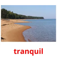 tranquil picture flashcards