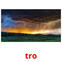 tro picture flashcards