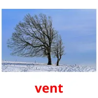 vent picture flashcards