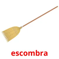escombra Tarjetas didacticas