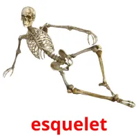 esquelet Tarjetas didacticas