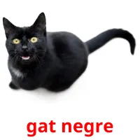 gat negre Tarjetas didacticas