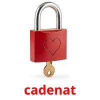 cadenat flashcards illustrate