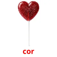 cor flashcards illustrate