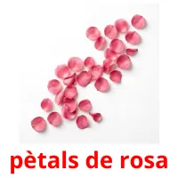 pètals de rosa flashcards illustrate