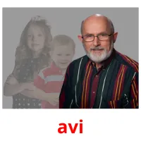 avi picture flashcards