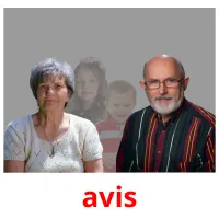 avis picture flashcards