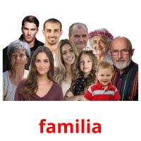 familia picture flashcards
