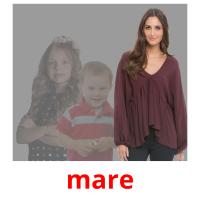 mare picture flashcards