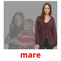 mare picture flashcards