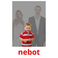 nebot picture flashcards