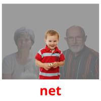 net picture flashcards