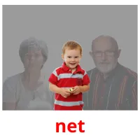 net picture flashcards