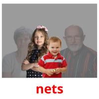 nets picture flashcards
