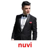 nuvi picture flashcards