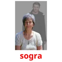 sogra picture flashcards