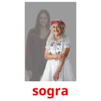 sogra picture flashcards