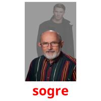 sogre picture flashcards