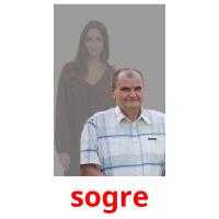 sogre picture flashcards