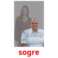 sogre picture flashcards