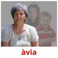 àvia picture flashcards