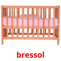 bressol picture flashcards