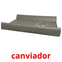 canviador picture flashcards