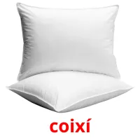 coixí picture flashcards