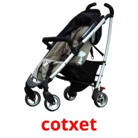 cotxet picture flashcards