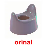 orinal picture flashcards