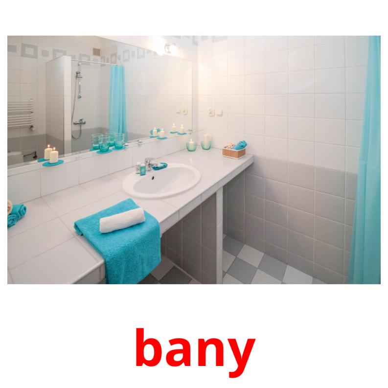bany picture flashcards