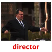 director ansichtkaarten