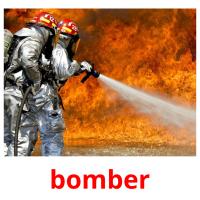 bomber picture flashcards