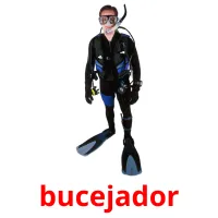 bucejador picture flashcards