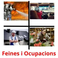 Feines i Ocupacions picture flashcards