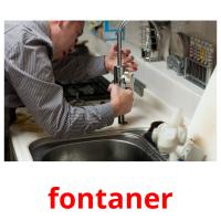 fontaner picture flashcards