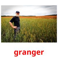 granger picture flashcards